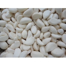 New Crop Pure White Chinese Peeled Garlic (180-220grains/kg)